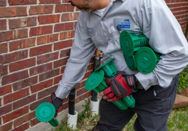 From Prevention to Eradication The Full Scope of Pest Control Services 